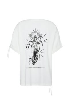 LANAY - Image 2