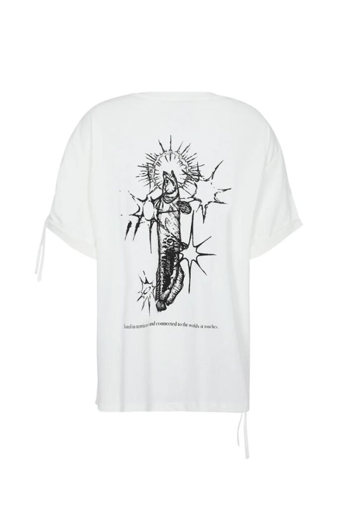 LANAY - Image 2